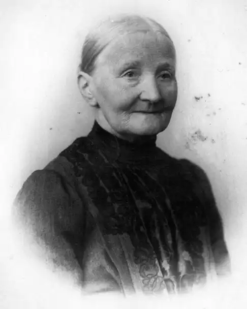 Siegel Tencel
