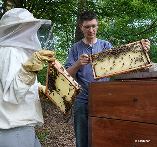 Imker hält einen Rahmen mit Bienenwaben Ein Mann in Imkerschutzkleidung hält einen Bienenwabenrahmen. Er betrachtet die Wabe, während ein weiterer Mann im Hintergrund steht.