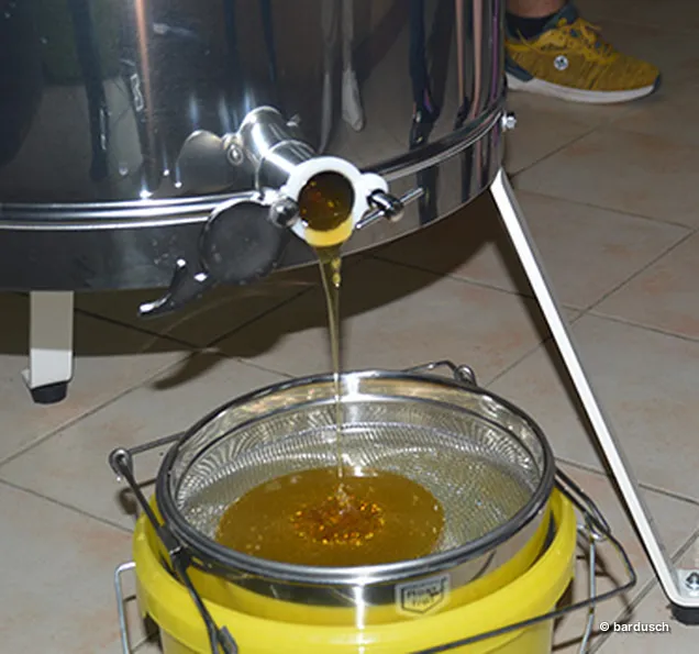 Honig fließt aus der Schleuder in ein Sieb Flüssiger Honig fließt aus einem Auslauf eines Schleuderkessels durch ein Sieb in einen Eimer.